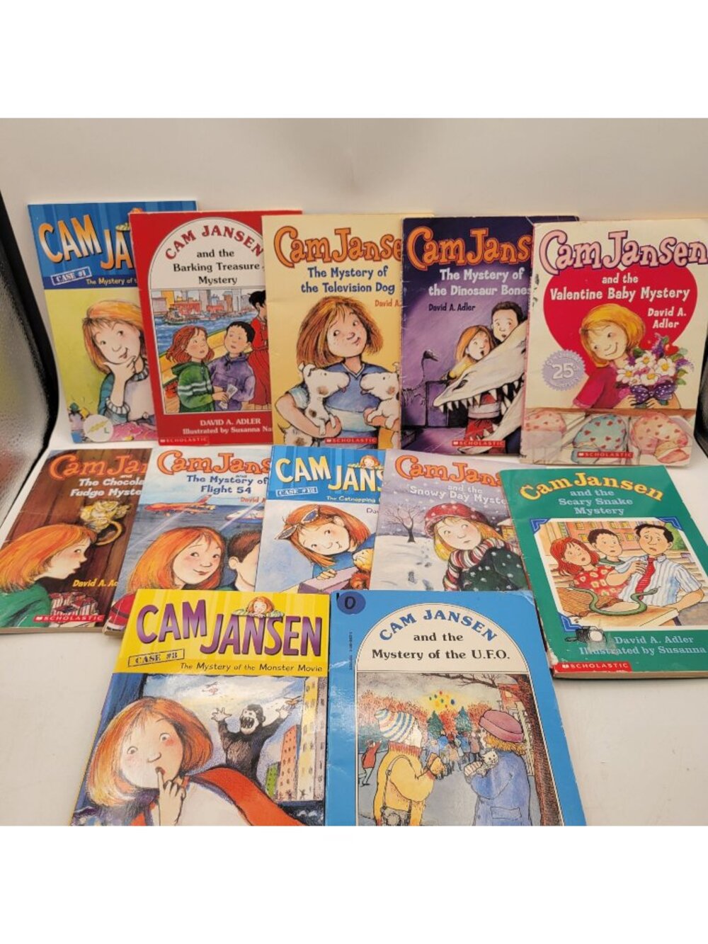 CAM JANSEN Lot of 12 Chapter Books by David A. Adler - CB010